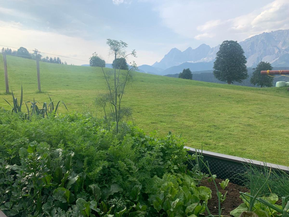Fruehstueckspension Erika Schladming Luaran gambar